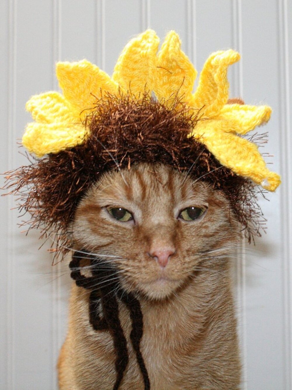 HAND CRAFTED Floral Sunflower Cat Hat Crochet Hairy Wig Costume Photo Prop